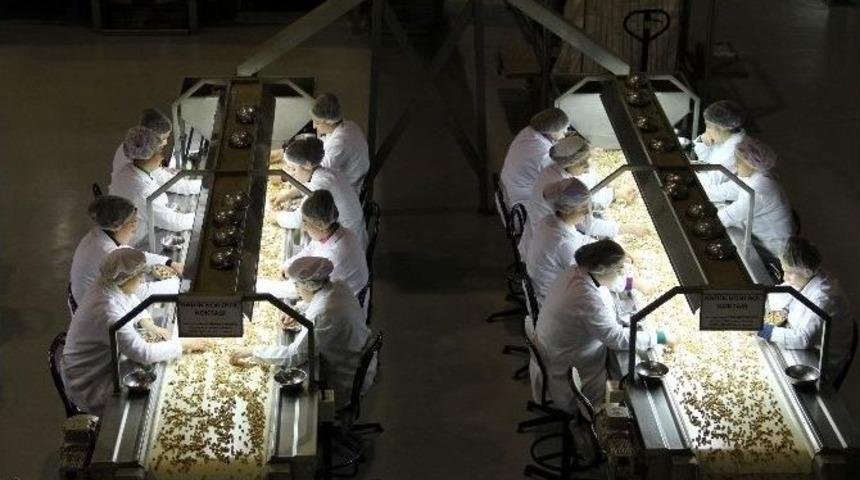 Fındık İhracat Gelirinde T&uuml;m Zamanların Rekoru Kırıldı