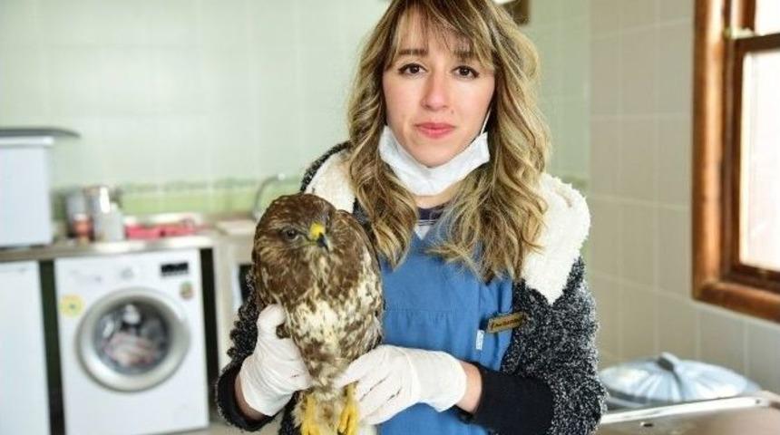 Kuş Cenneti&rsquo;nde Hasta Kuşlara &Ouml;zel Bakım