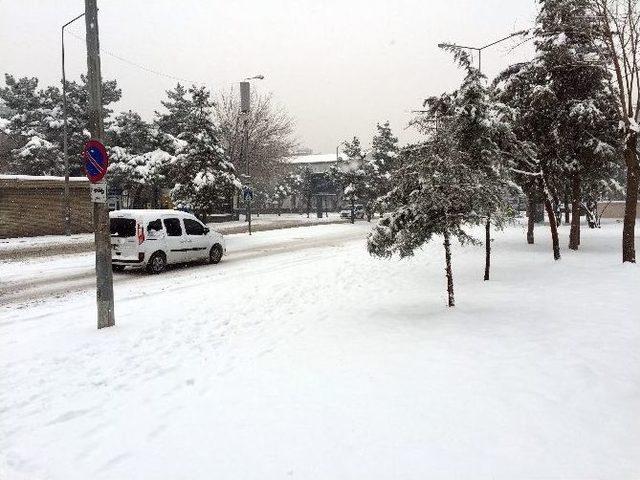 Diyarbakır’da ‘kar’ Esareti