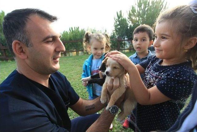 Binlerce Hayvan Osmangazi’de Sağlığına Kavuştu