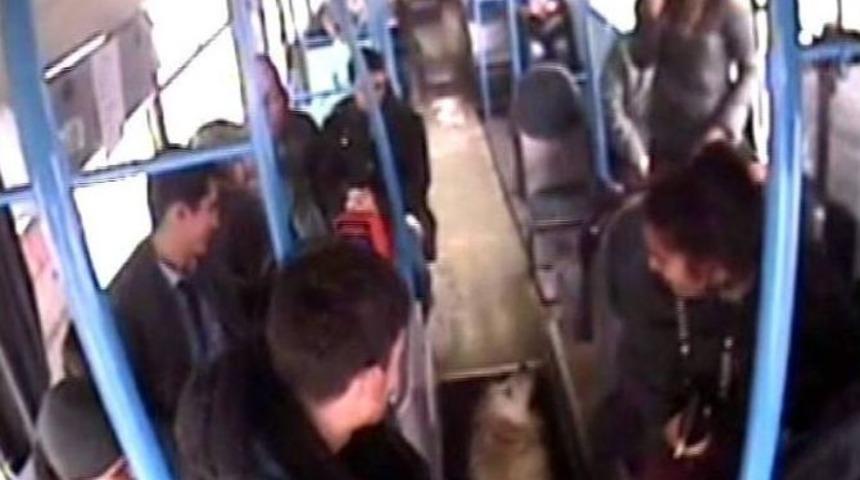 Soğukta &Uuml;ş&uuml;yen K&ouml;pek, Halk Otob&uuml;s&uuml;ne Binince İnmek İstemedi