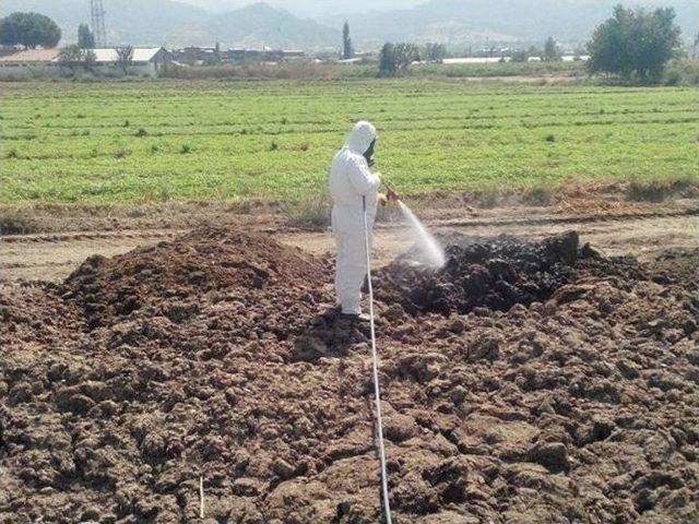 Manisa’da İlaçlama Çalışmaları Son Sürat