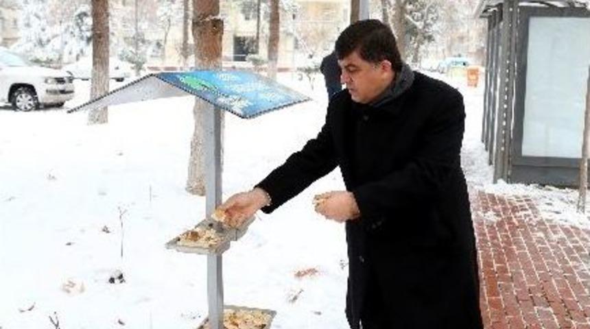 Başkan Fadıloğlu, Doğaya Yem Bıraktı