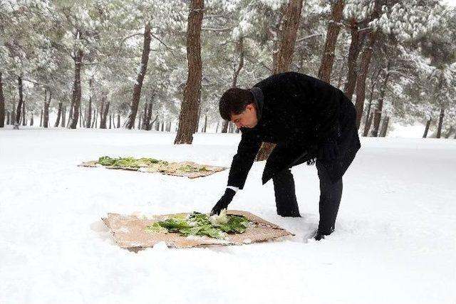 Başkan Fadıloğlu, Doğaya Yem Bıraktı