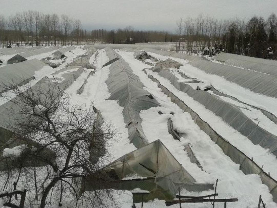 Tarımsal &Uuml;retimde Doğal Afet Zararı