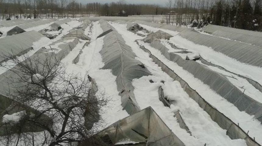 Kar, Seralara B&uuml;y&uuml;k Zarar Verdi