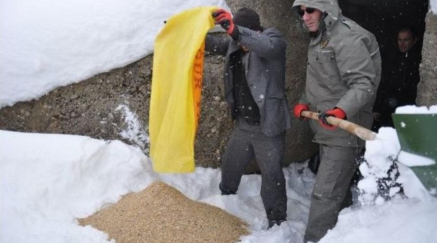 Muş&rsquo;ta Yaban Hayvanları İ&ccedil;in Doğaya Yem Bırakıldı
