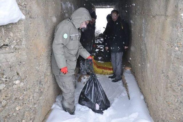 Muş’ta Yaban Hayvanları İçin Doğaya Yem Bırakıldı