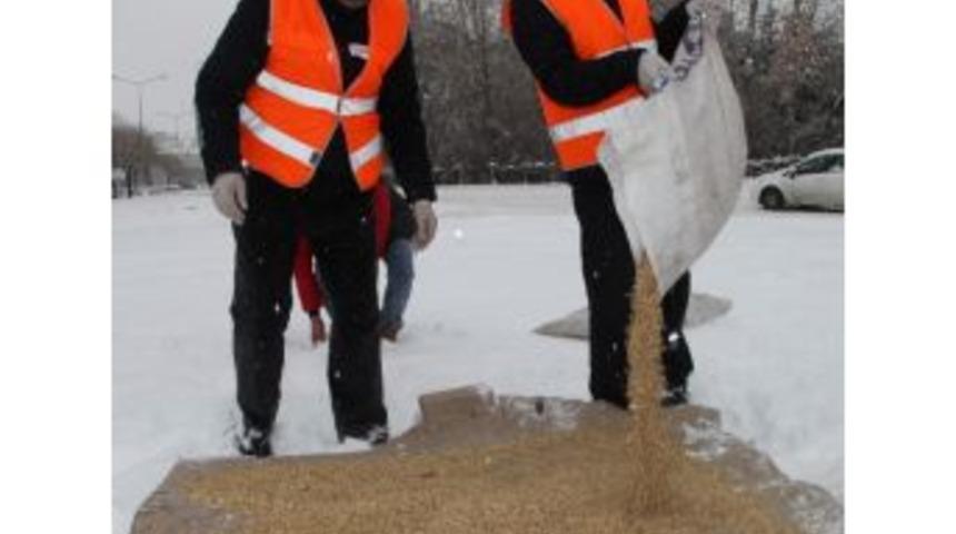 Elazığ&rsquo;da Kuşlar İ&ccedil;in Yem Bırakıldı