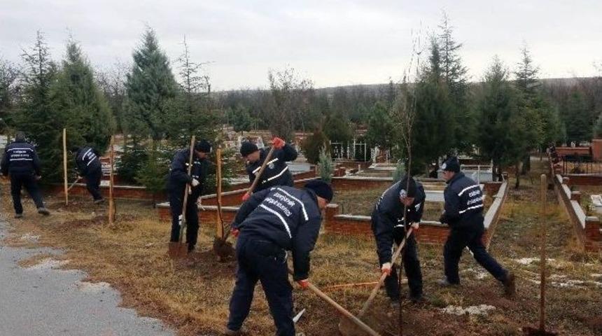 B&uuml;y&uuml;kşehir&rsquo;den 3 Bin Fidan Daha