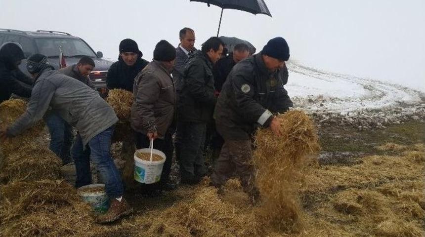 D&uuml;zce&rsquo;de Yaban Hayvanlarına Yem Bırakıldı