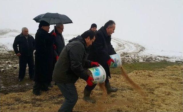 Düzce’de Yaban Hayvanlarına Yem Bırakıldı