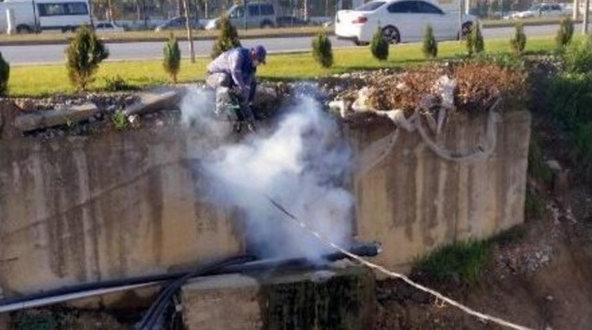 Manavgat&rsquo;ta Sinekle Larva D&ouml;neminde M&uuml;cadele