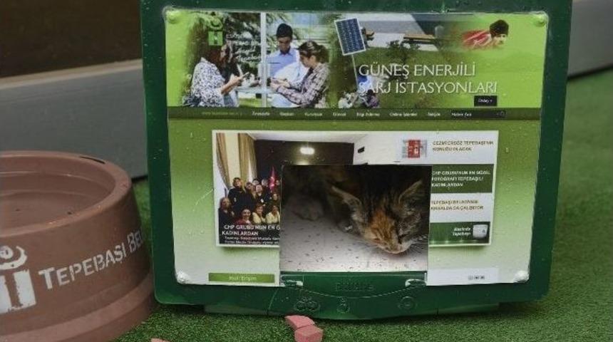 Monit&ouml;rden Kedi Evi