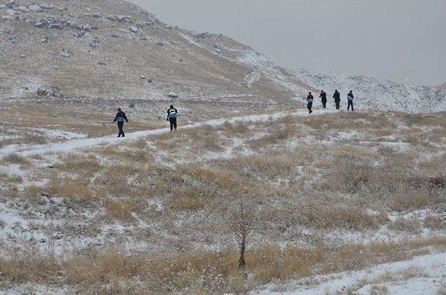 Sokak Ve Yaban Hayvanları İçin Doğaya Yem Bırakıldı