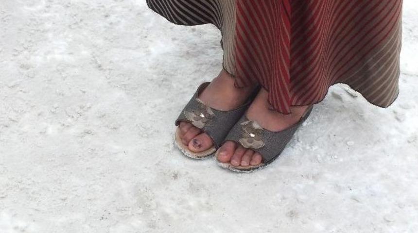 Eksi 15 Derecede Terlikli Yaşam