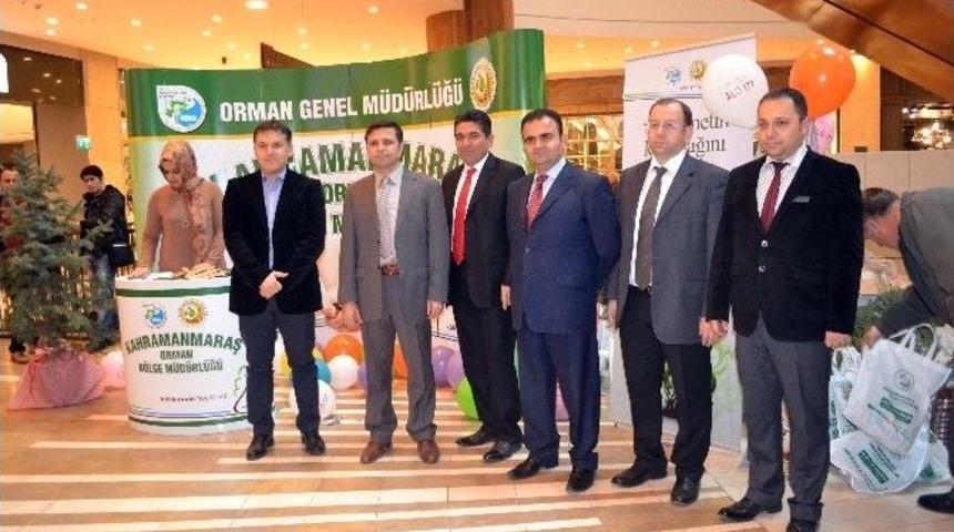 Piazza&rsquo;dan Yeni Yıla Yeni Fidanlar