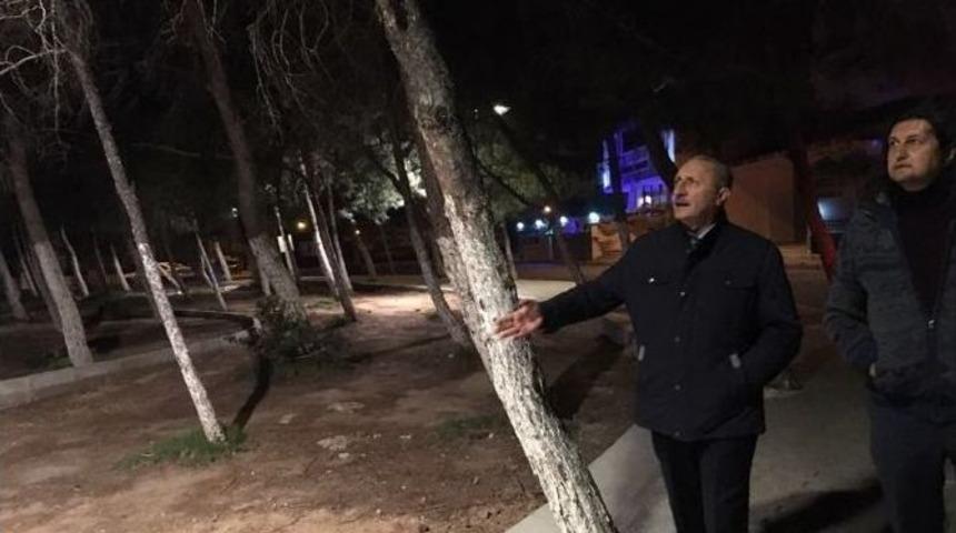 Didim Belediyesi &Ccedil;amlık Alanını Işıklandırdı