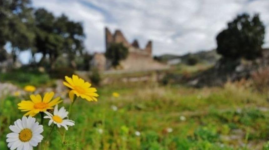 Bodrum&rsquo;da Bahar Renkleri