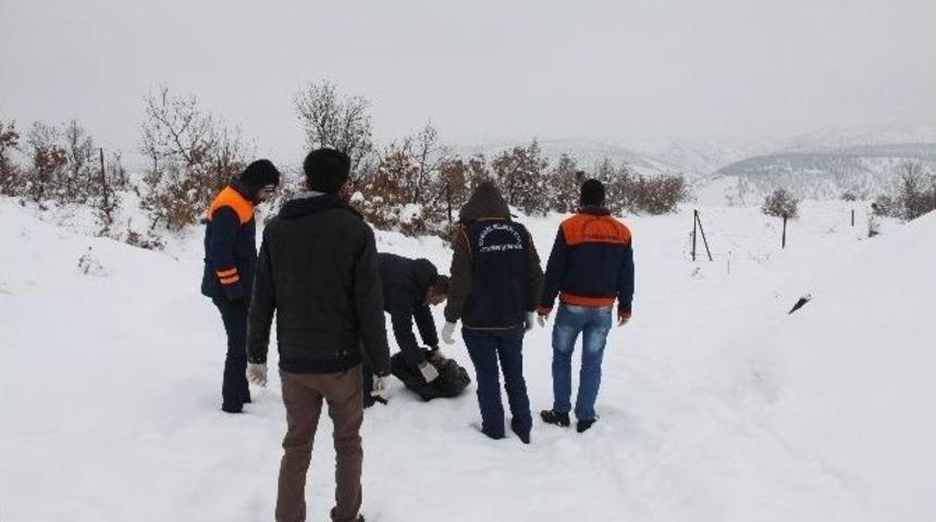 Bing&ouml;l Belediyesi Sokak Hayvanları İ&ccedil;in Doğaya Yiyecek Bıraktı