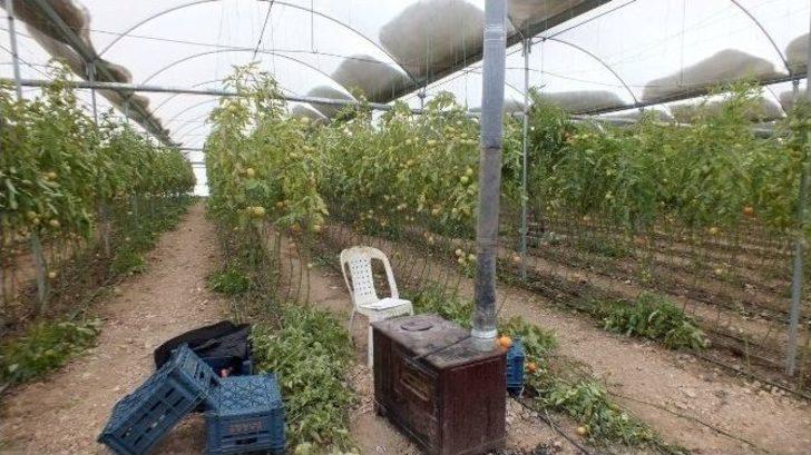 (özel Haber) Şanlıurfa’da Don Seraları Vurdu G3