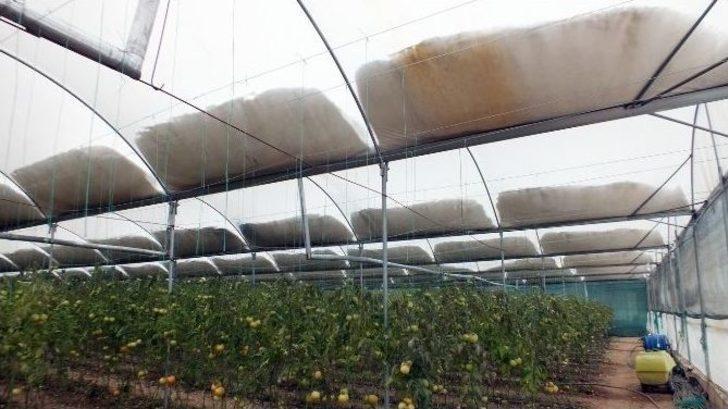 (özel Haber) Şanlıurfa’da Don Seraları Vurdu G4