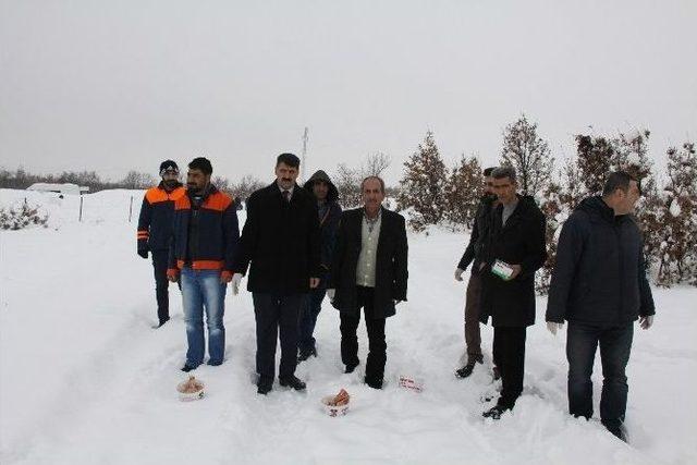 Sokak Hayvanları İçin Doğaya Yem Bırakıldı