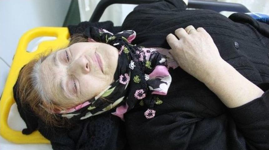 Samsun&rsquo;da K&ouml;peğin &Ccedil;arptığı Yaşlı Kadın Hastanelik Oldu