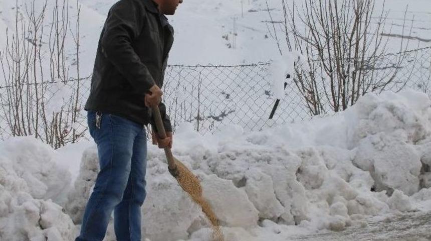 Siirt&rsquo;te Doğaya Yem Bırakıldı