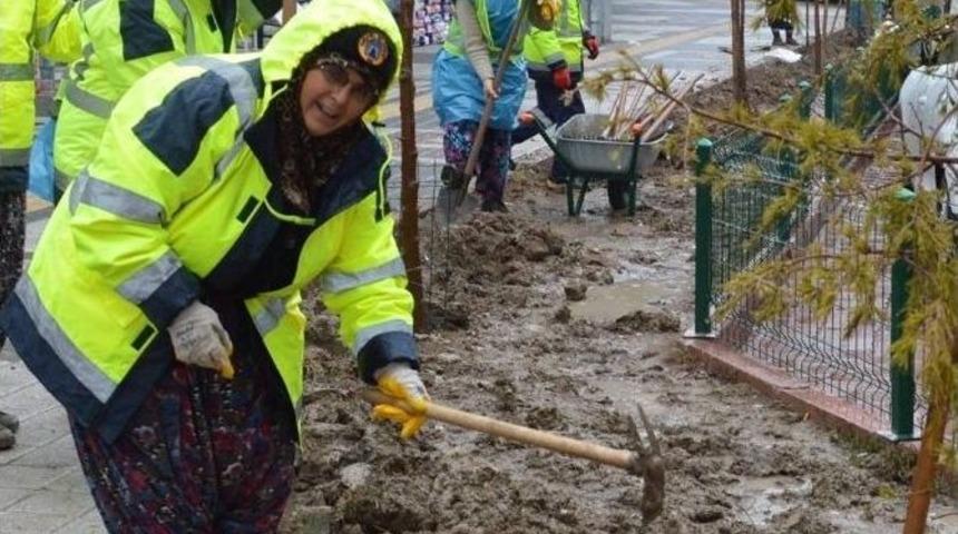 Kış Mevsimine Dayanıklı Bitkiler Dikiliyor