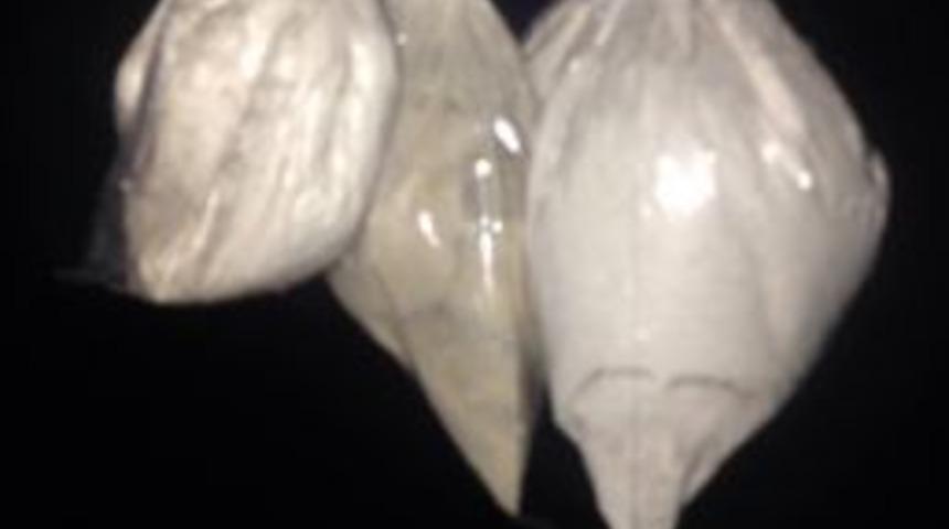 Cd &Ccedil;antasına Gizlenmiş Eroin Yakalandı