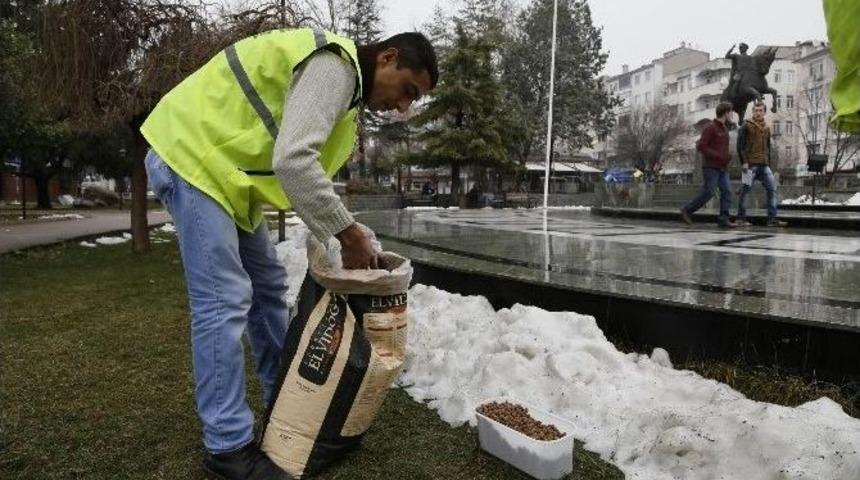 Kırklareli&rsquo;nde Sokak Hayvanları Unutulmadı