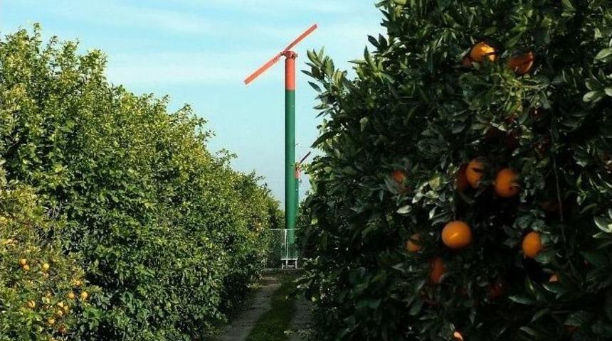 Narenciye &Uuml;reticisine &ldquo;don Kırıcı Pervane Kullanın&rdquo; &Ouml;nerisi