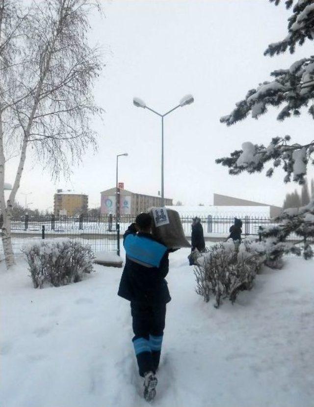 B&uuml;y&uuml;kşehir, Yaban Hayatını Koruyor 3