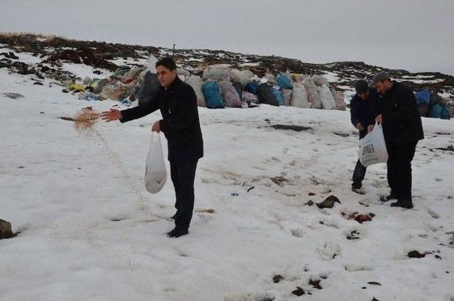 Başkan Yılmaz’ın Talimatıyla Doğaya Yem Bırakıldı