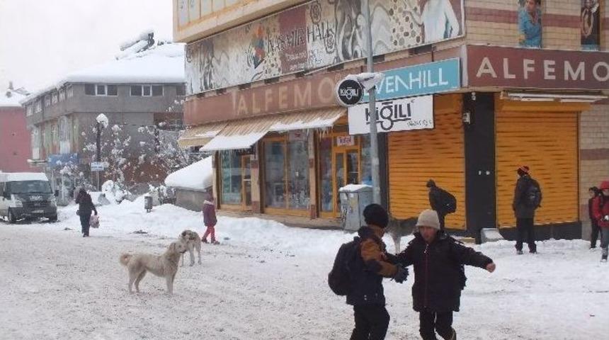 Malazgirt&rsquo;te Başıboş K&ouml;pek Sorunu