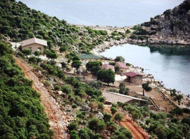 Akdeniz Foklarının Yaşam Alanı Tehlikede