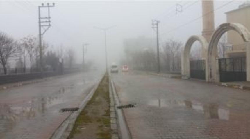 İdil&rsquo;de Sis Hayatı Olumsuz Etkiledi