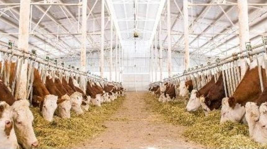 Yenişehirli Besicilere 6 Milyon Tl S&uuml;t Desteği