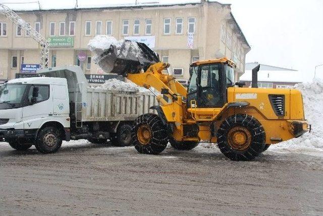 Varto’da Karla Mücadele Çalışması