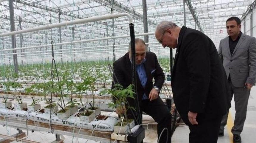 Başkan Albayrak’ın Fabrika Ve Hastane Ziyaretleri