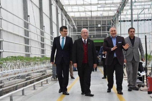 Başkan Albayrak’ın Fabrika Ve Hastane Ziyaretleri