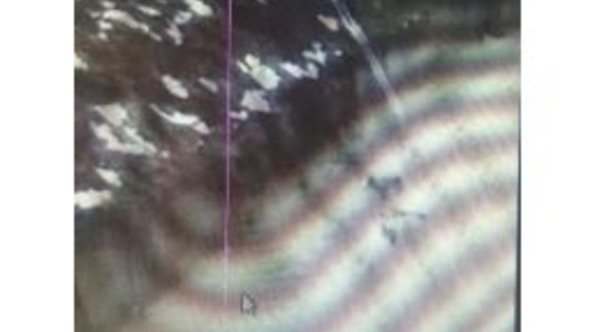 &Ccedil;ayda K&ouml;pek Kurtarma Operasyonu