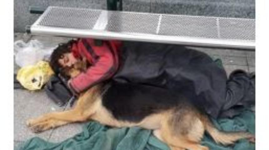 Sokakta Kesişen Dostluk