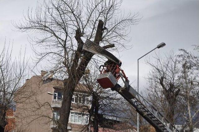 Lodos İneg&ouml;l&rsquo;&uuml; Vurdu 1