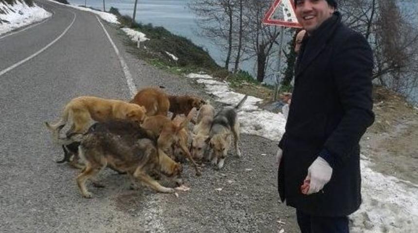 Esnaflar, Aç Kalan Sokak Köpeklerini Doyurdu