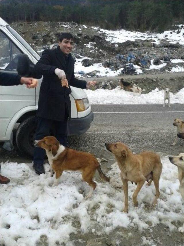 Esnaflar, Aç Kalan Sokak Köpeklerini Doyurdu