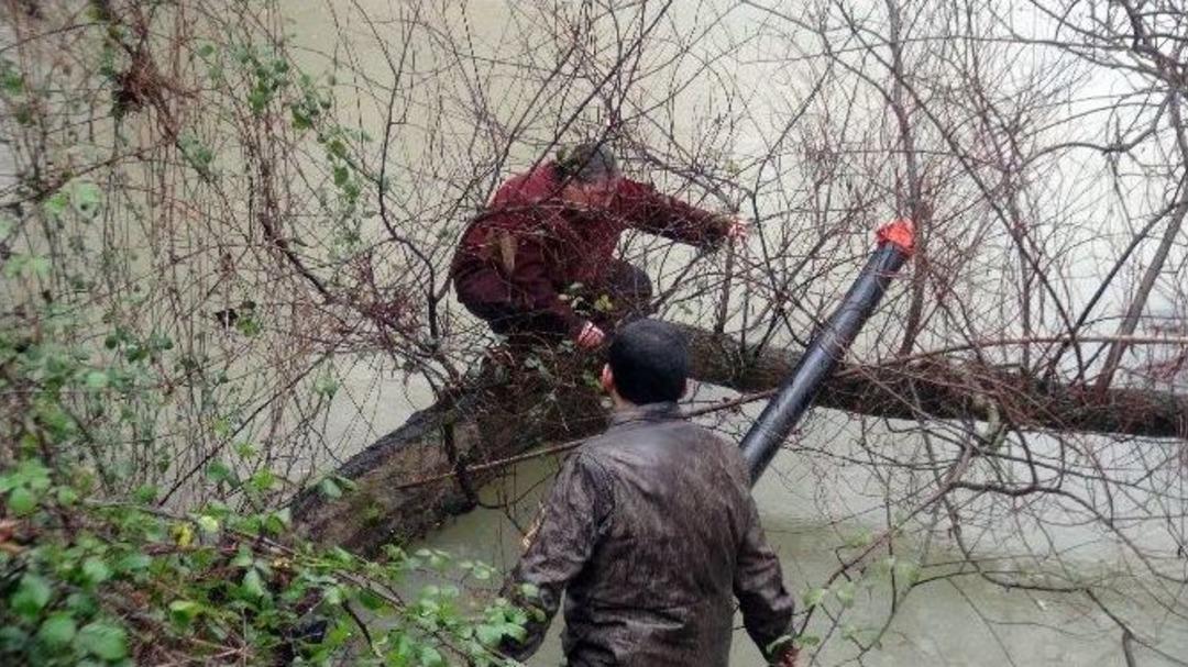 Manavgat &Ccedil;ayı&rsquo;na Atlayan Kadın Ağa&ccedil; Dalına Tutunarak Kurtuldu