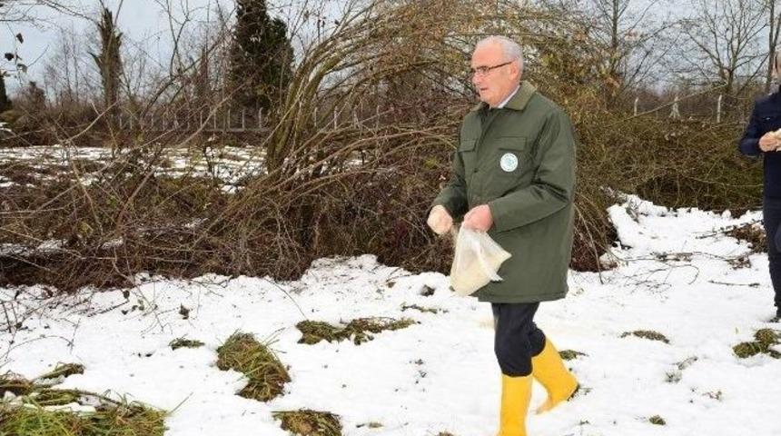 Vali Ve Başkan Hayvanları Yemledi