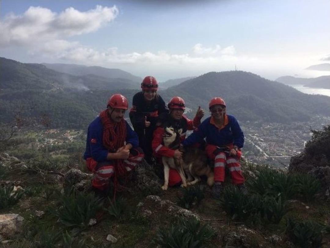 Fethiye Umke&rsquo;den K&ouml;pek Kurtarma Operasyonu